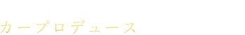 輸入車の整備はカープロデュースにお任せください